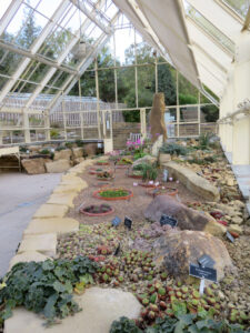 Inside the Alpine House at RHS Harlow Carr